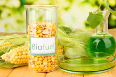 Bere Alston biofuel availability